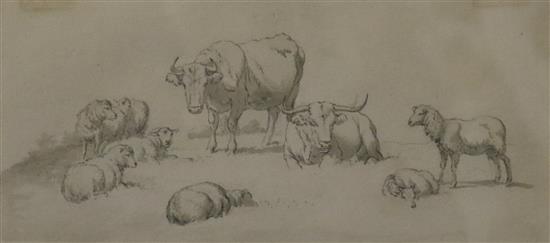 Robert Hills , watercolour sketch, sheep and cattle